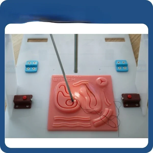 USB 내시경 카메라가 장착된 복강경 수술 연습기, 복 - Woodworking Simulator 리뷰 및 가격